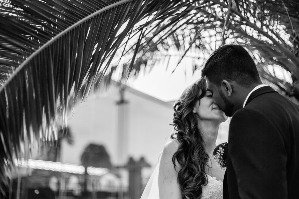 Brautpaar küsst unter Palme in Herrenhäuser Gärten Hannover